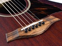 Taylor AD22E 2023-10.jpg