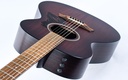 Taylor AD22E 2023-8.jpg