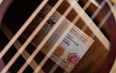 Taylor AD22E 2023-12.jpg
