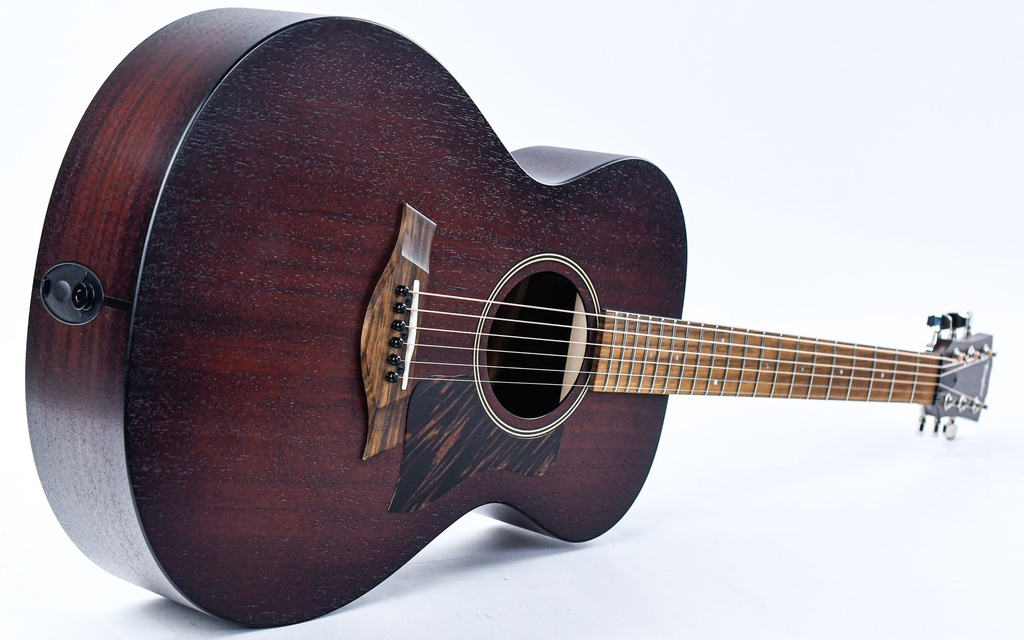 Taylor AD22E 2023-11.jpg