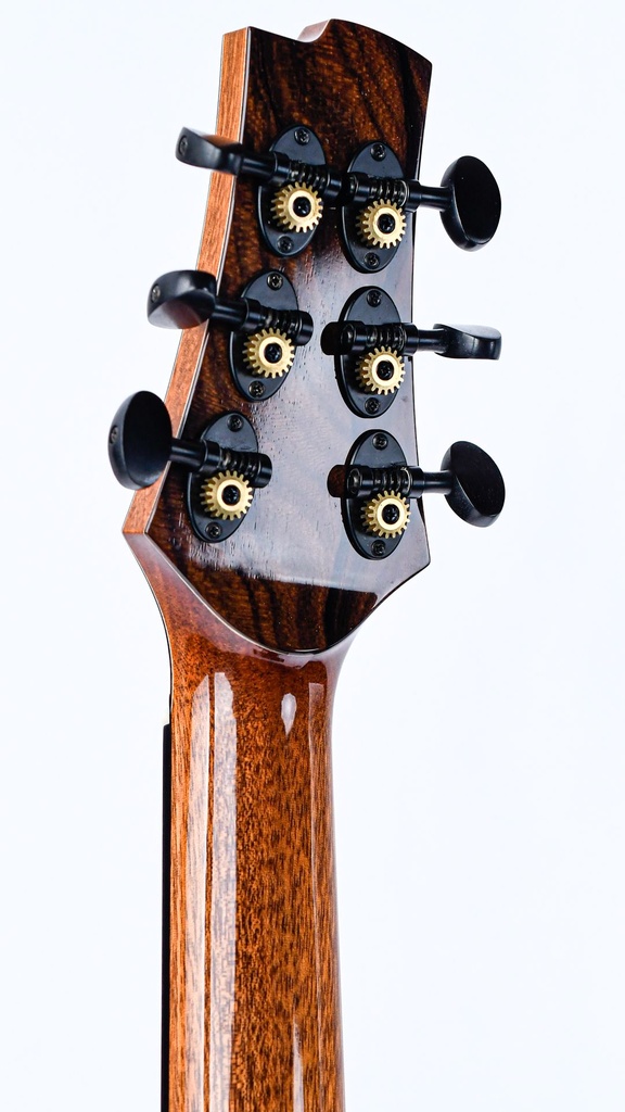 Thomas SJ50 Malaysian Blackwood Moonspruce 2021-6.jpg