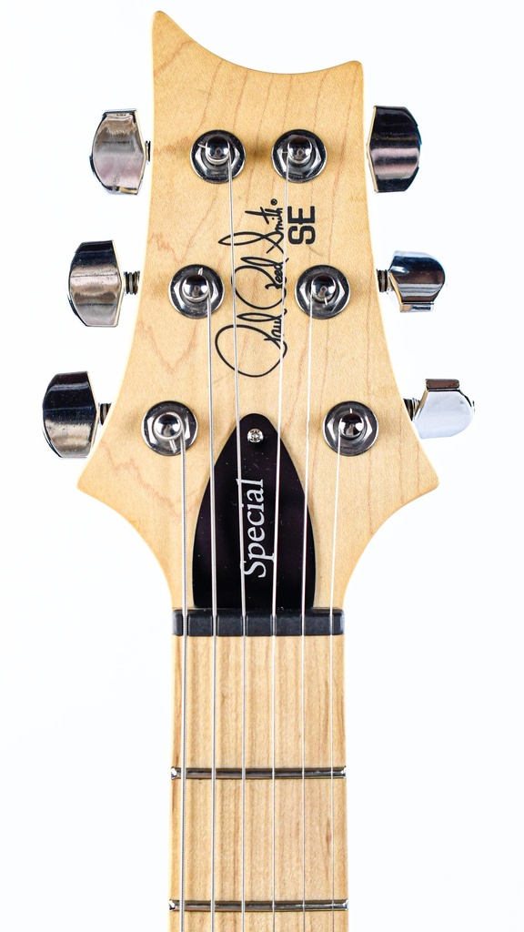 [SESA22IB] PRS SE Swamp Ash Special Iri Blue-4.jpg