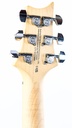 [SESA22IB] PRS SE Swamp Ash Special Iri Blue-5.jpg