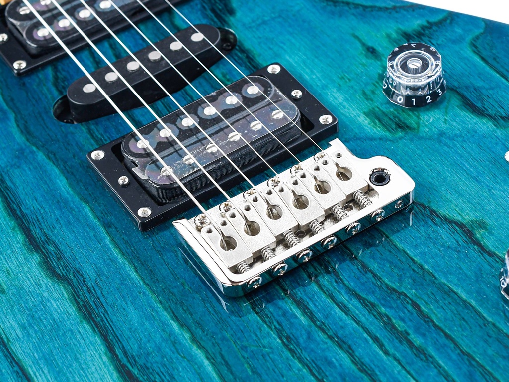 [SESA22IB] PRS SE Swamp Ash Special Iri Blue-10.jpg