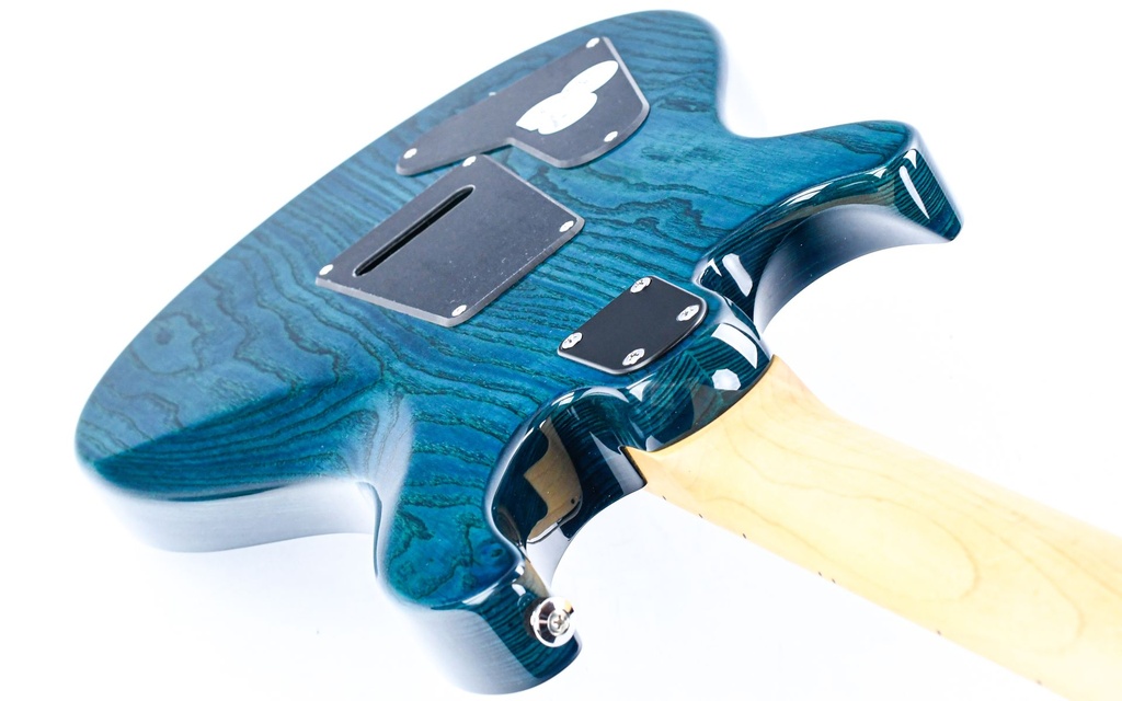 [SESA22IB] PRS SE Swamp Ash Special Iri Blue-9.jpg
