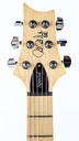[SESA22CH] PRS SE Swamp Ash Special Charcoal-3.jpg