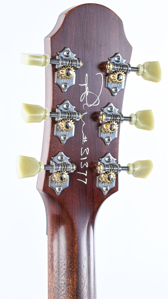 [31377] Patrick James Eggle Macon CT Faded Gold Burst-5.jpg