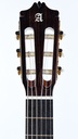 Alhambra 7P-4.jpg