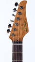 Suhr Classic T Custom Nashville Style 2024-5.jpg