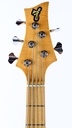 F Bass BN series-5.jpg