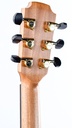 Lowden F12 Rosewood Sitka-6.jpg