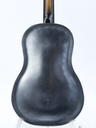 [I-RAW12S] National Raw Series 12 Fret Steel-6.jpg