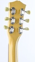 [193619] Maybach Albatroz 65-2 P90 TV Yellow Aged 2019-6.jpg