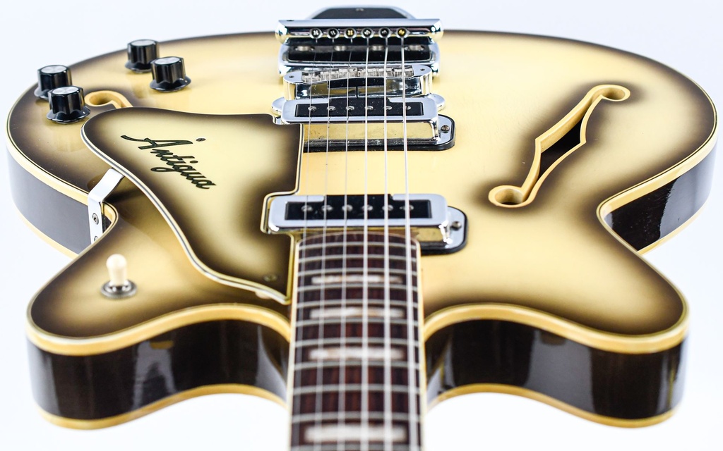 [251220] Fender Coronado II Antigua 1969-12.jpg