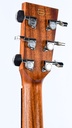 Lakewood D1 2000-5.jpg