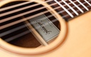 Lakewood D1 2000-11.jpg
