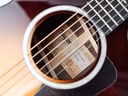 Taylor 412ce-R Tobacco Sunburst-11.jpg