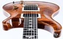 [19 0274805] PRS Custom 24 Yellow Tiger 2019-12.jpg