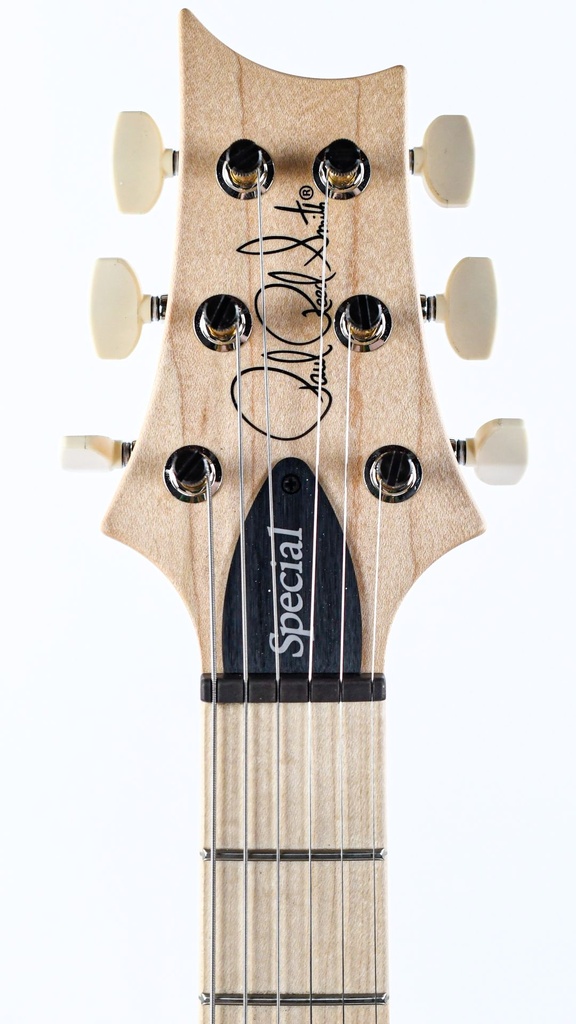 PRS Swamp Ash Special Black Doghair Smokeburst Maple-4.jpg