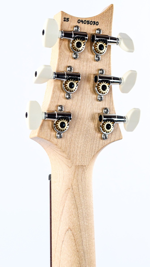 PRS Swamp Ash Special Black Doghair Smokeburst Rosewood-5.jpg