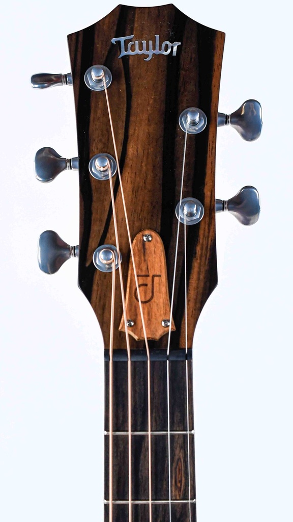 [E097501018106991000] Taylor Jacob Collier Signature Model 5 String-4.jpg