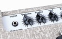 Carr Amps Sportsman Slub 1x12 Combo-8.jpg