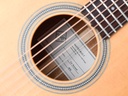 Maton Masterbuilt TE Personal 808 Tommy Emmanuel #0078-11.jpg