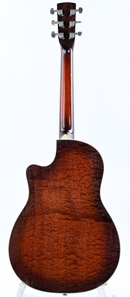 Leewald Tricone Woodbody Duotone P90 Sunburst 2017-7.jpg