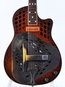 Leewald Tricone Woodbody Duotone P90 Sunburst 2017-3.jpg