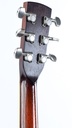 Leewald Tricone Woodbody Duotone P90 Sunburst 2017-5.jpg