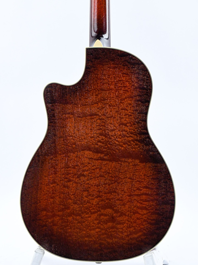 Leewald Tricone Woodbody Duotone P90 Sunburst 2017-6.jpg