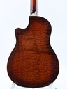Leewald Tricone Woodbody Duotone P90 Sunburst 2017-6.jpg