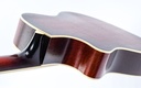 Leewald Tricone Woodbody Duotone P90 Sunburst 2017-9.jpg