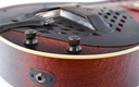 Leewald Tricone Woodbody Duotone P90 Sunburst 2017-14.jpg