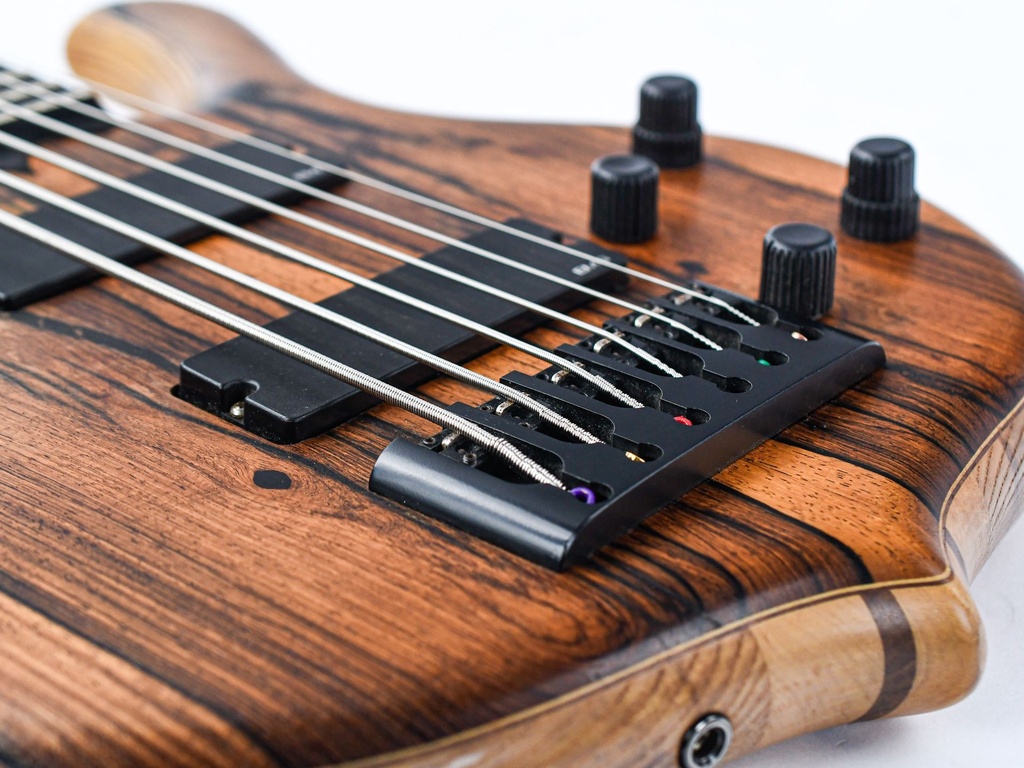 Rikkers Bodyline 6 string bass recent-10.jpg