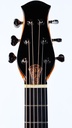 Anuenue LS700 Previously Eddie van der Meer Recent-4.jpg