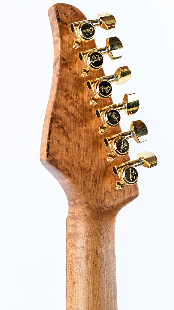 [01-CUS-0018] Suhr Standard Custom-5.jpg