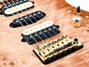 [01-CUS-0018] Suhr Standard Custom-10.jpg
