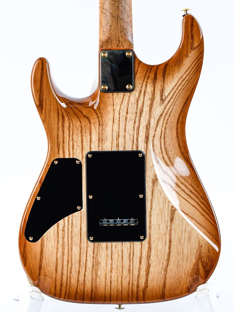 [01-CUS-0018] Suhr Standard Custom-6.jpg