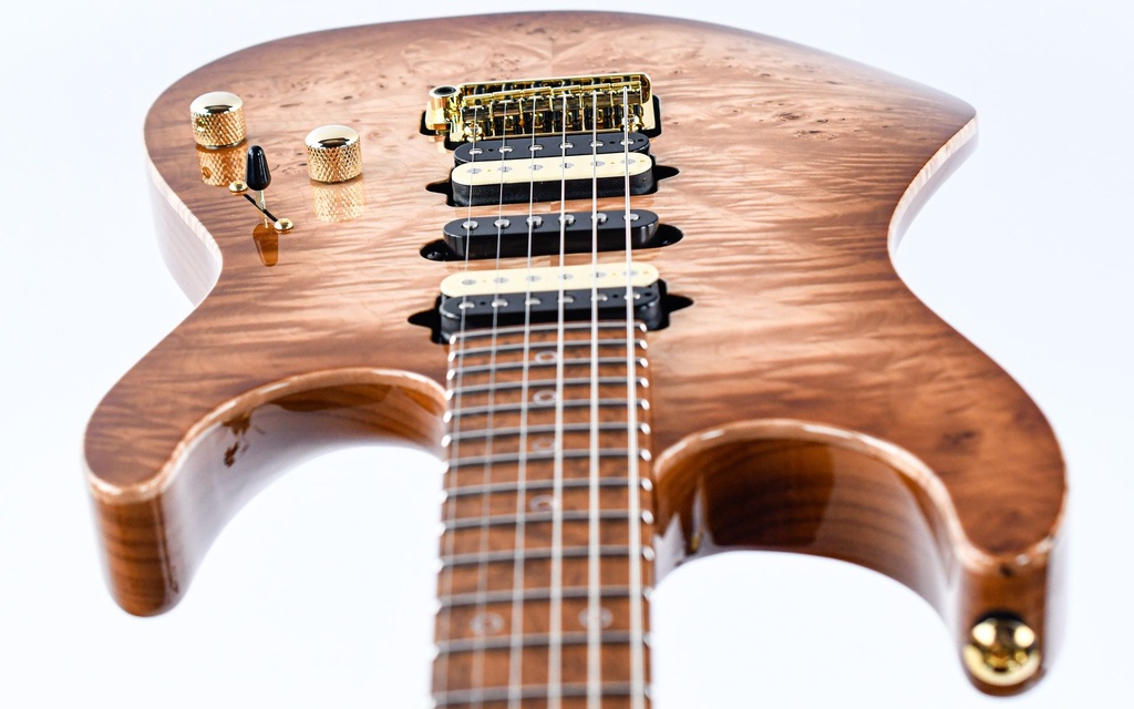 [01-CUS-0018] Suhr Standard Custom-12.jpg