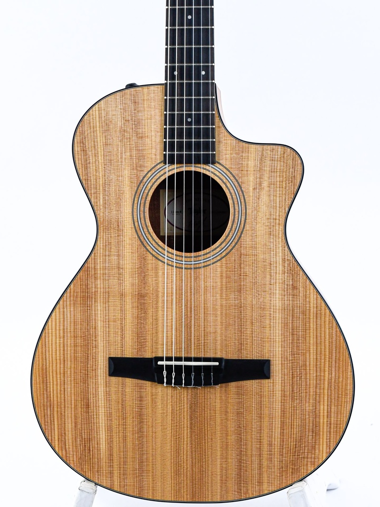 [C104026103807931000] Taylor 112ce-N Nylon-3.jpg