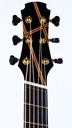Hozen Blue Label MJ MR CSB F-5.jpg