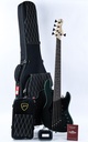 Dingwall Super J, 5-string, 3 pickups-1.jpg