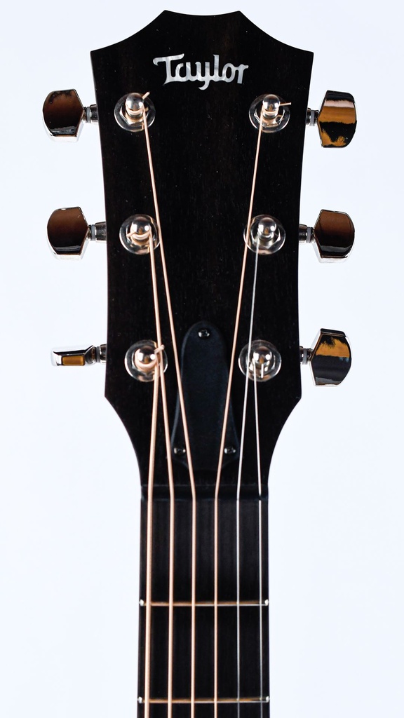 Taylor AD17e Blacktop 2021-4.jpg