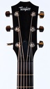 Taylor AD17e Blacktop 2021-4.jpg