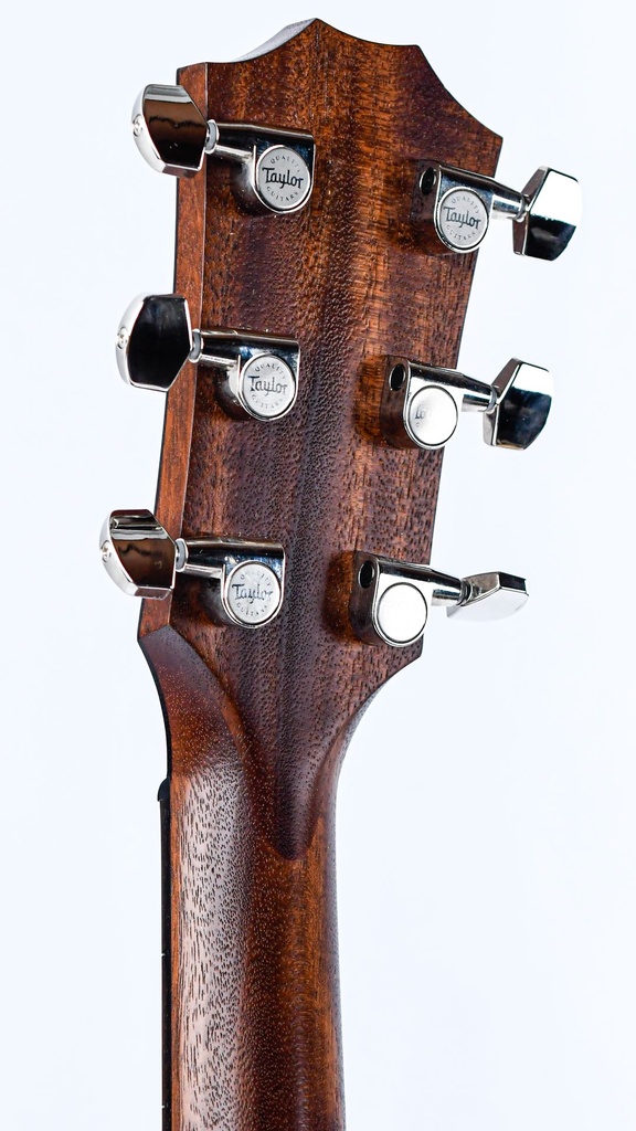 Taylor AD17e Blacktop 2021-5.jpg
