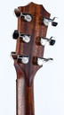 Taylor AD17e Blacktop 2021-5.jpg