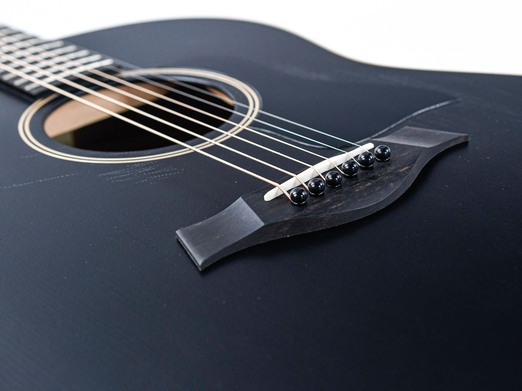 Taylor AD17e Blacktop 2021-10.jpg