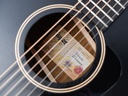 Taylor AD17e Blacktop 2021-11.jpg