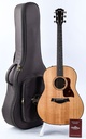 Taylor AD17e Natural 2021-1.jpg